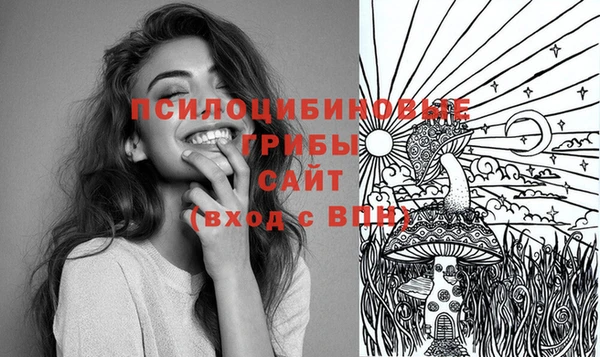 MESCALINE Гусев