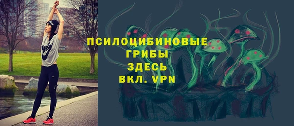 каннабис Гусиноозёрск